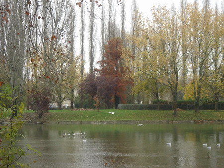 a0247585_3162027.jpg