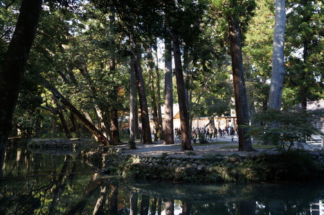 d0176186_22284821.jpg