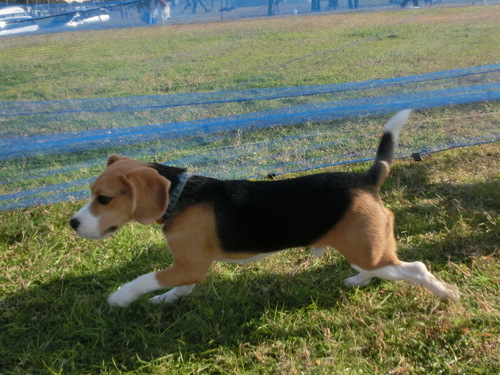 a0319693_18483449.jpg
