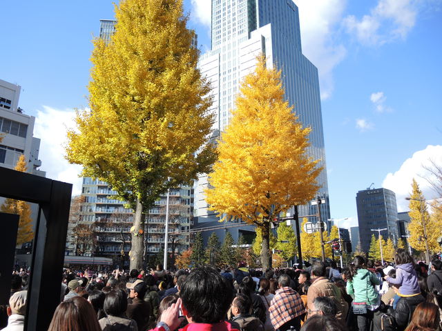 f0100593_12363718.jpg