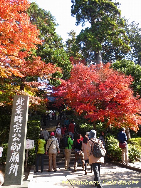 c0087094_21155633.jpg