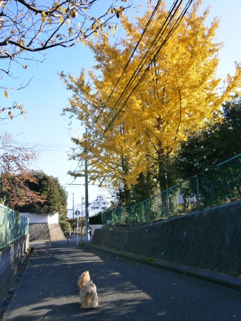 f0130894_2294098.jpg