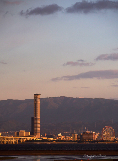f0001895_1692343.jpg