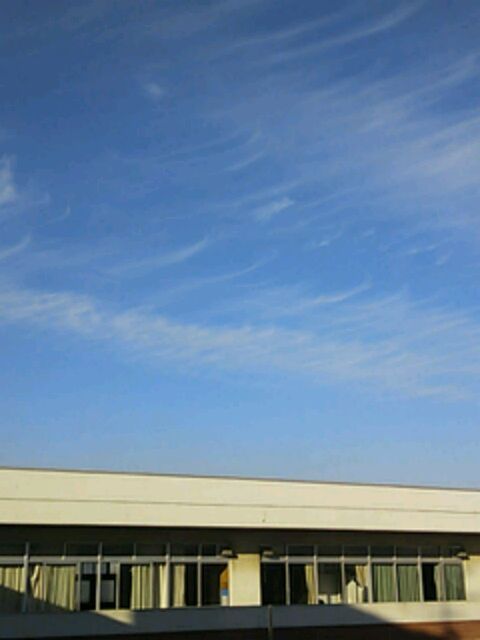 e0087901_02974.jpg