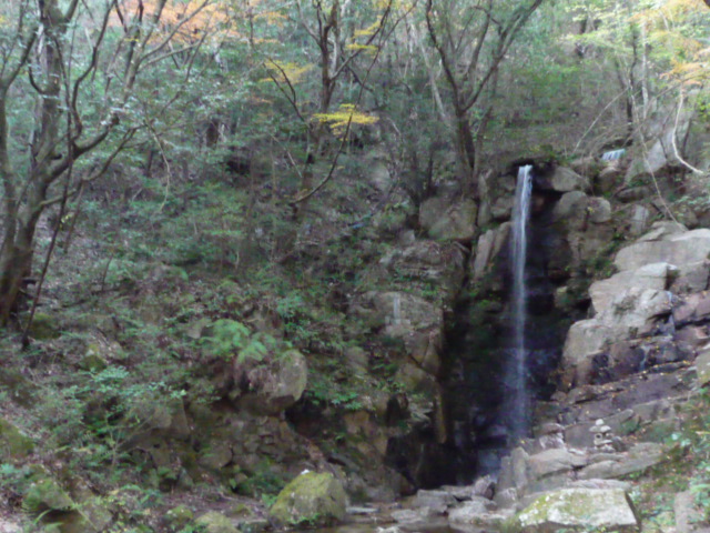 f0250403_1653516.jpg