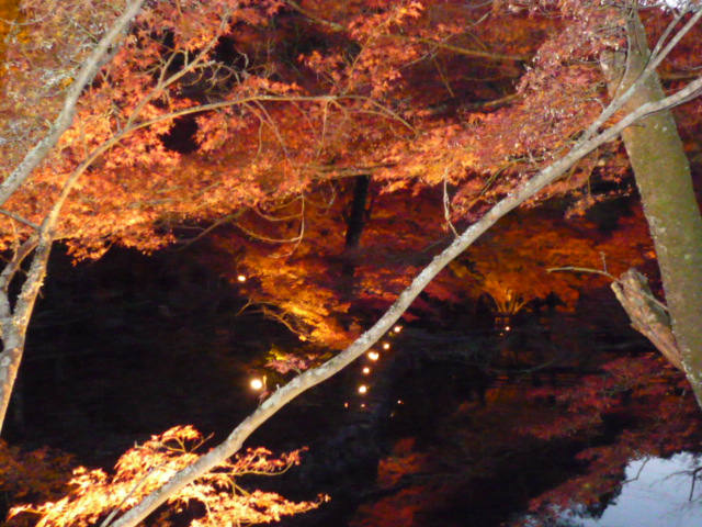 f0250403_16574988.jpg