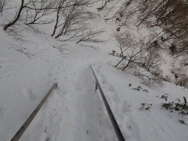 f0231709_1703661.jpg