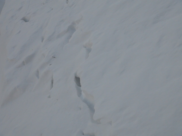f0231709_19283941.jpg