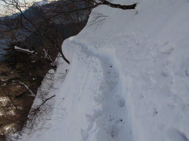 f0231709_19332618.jpg