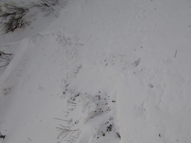 f0231709_19382427.jpg