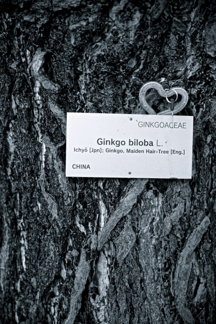 c0153411_0221696.jpg