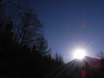 d0160611_1615526.png
