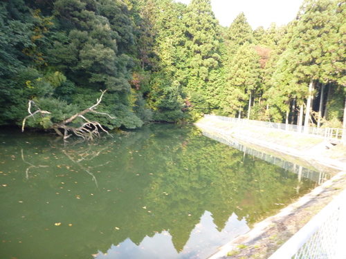 d0170615_8542197.jpg