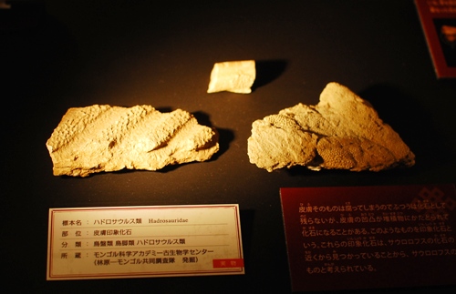 b0174518_19475672.jpg