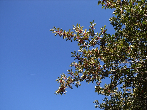 b0225620_2192016.jpg