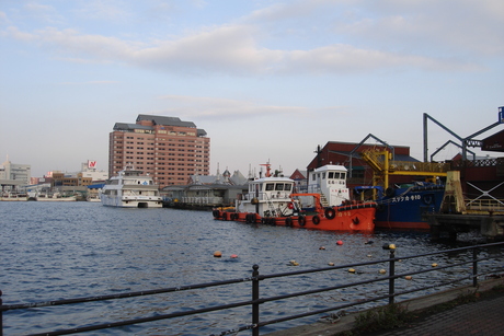 d0250123_18501650.jpg