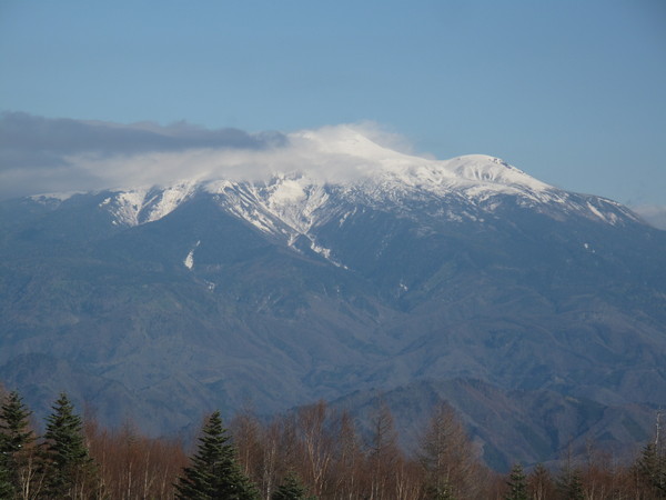 a0119132_1817861.jpg