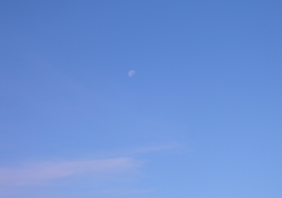 a0206332_1151757.jpg