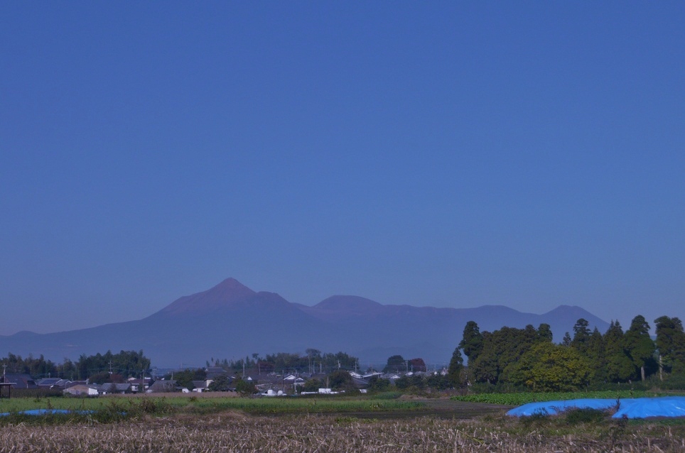 a0206332_1154283.jpg