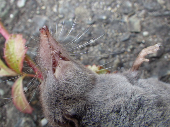 f0118332_21574335.jpg