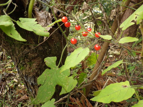 f0118332_222637.jpg