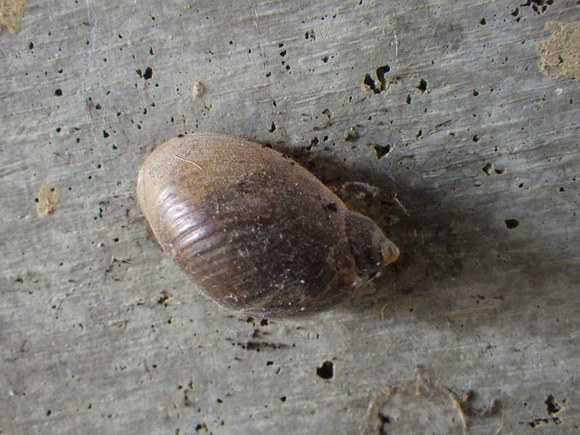 f0118332_2252529.jpg