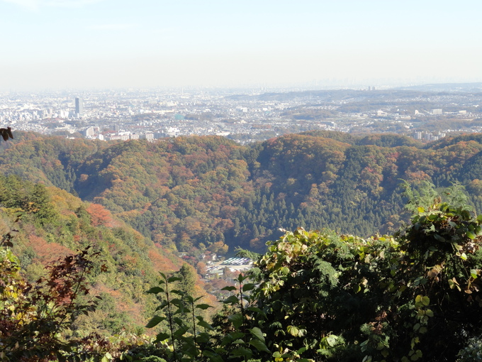 f0238932_11154689.jpg