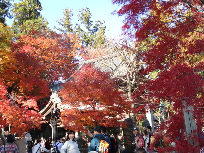 f0238932_11294113.jpg