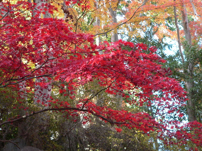 f0238932_11322037.jpg