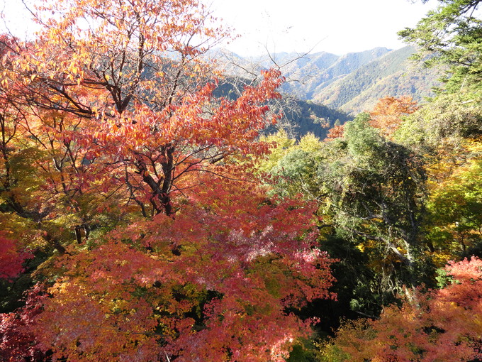 f0238932_11455494.jpg