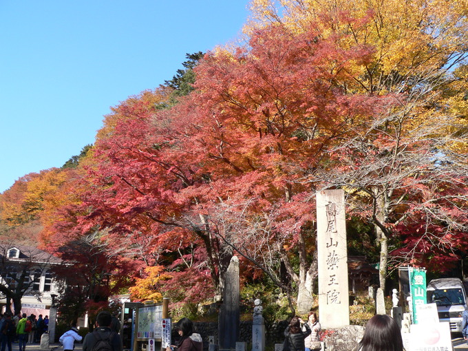 f0238932_1191594.jpg