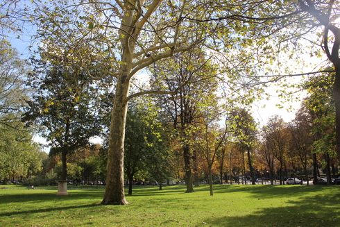 f0157538_20465351.jpg