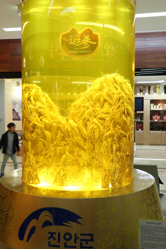a0303241_1234944.jpg