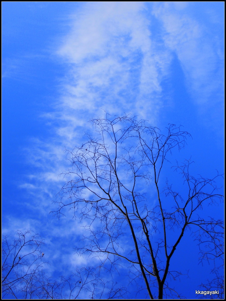 e0206242_6521048.jpg