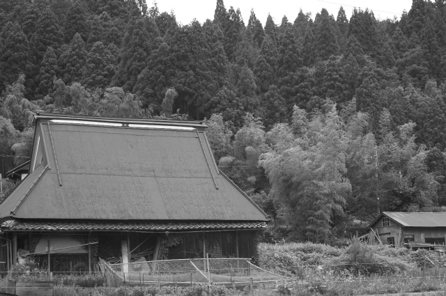 f0152743_2226784.jpg