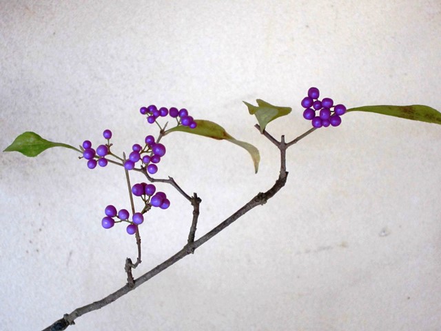 b0289649_15182113.jpg