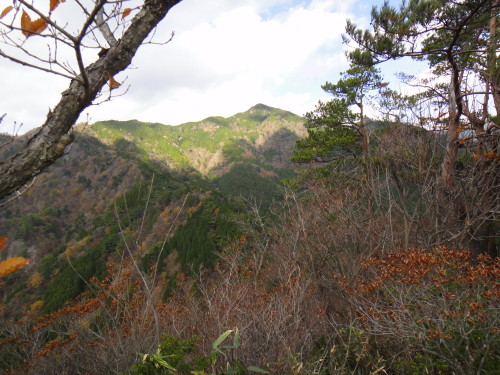 c0179351_1854420.jpg