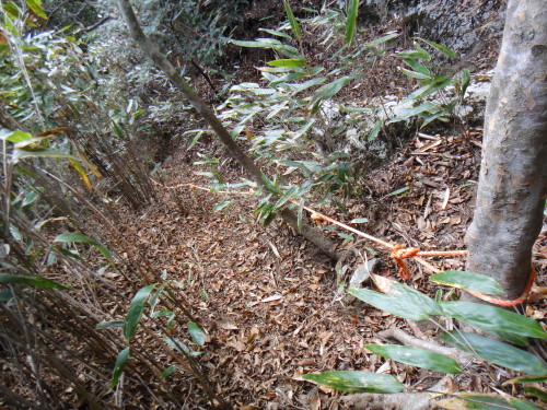 c0179351_18544716.jpg