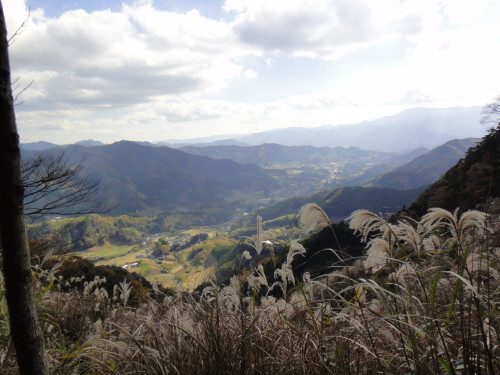c0179351_18554897.jpg