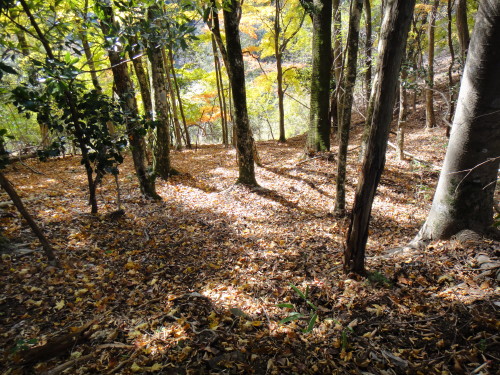 c0179351_18562951.jpg