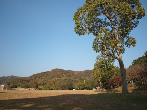 d0111558_20262180.jpg