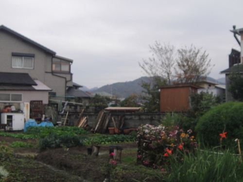 c0108460_17353041.jpg