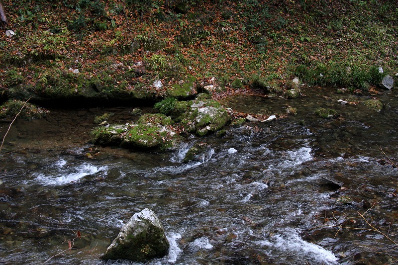 d0244960_1994234.jpg