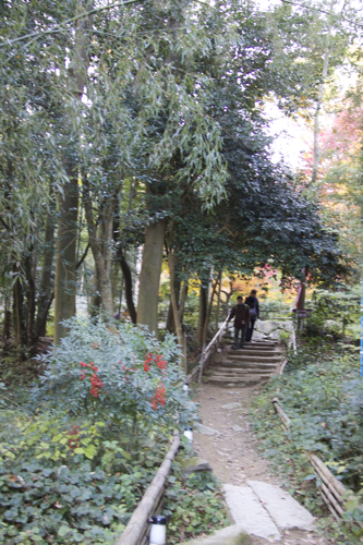 b0286869_20421217.jpg