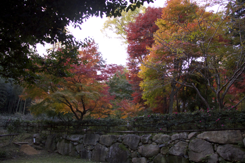 b0286869_20425845.jpg