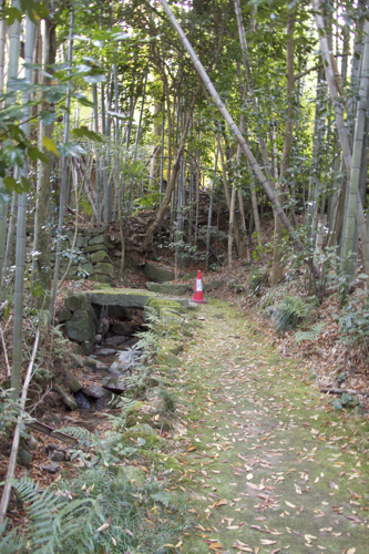 b0286869_20431549.jpg