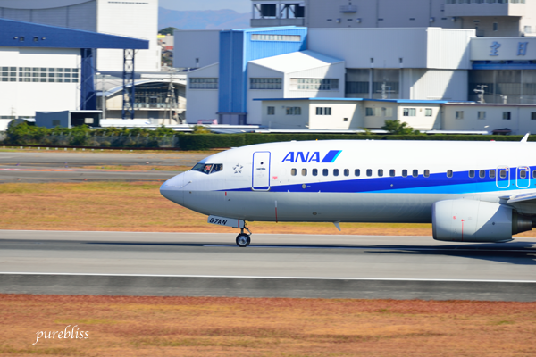 b0243873_11533895.png