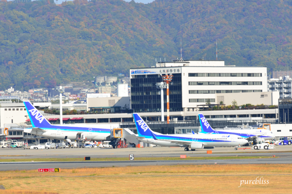b0243873_12483990.png