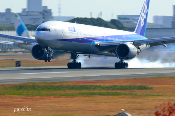 b0243873_12500363.png