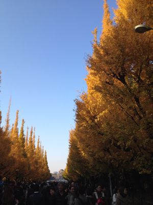 b0176275_17304613.jpg